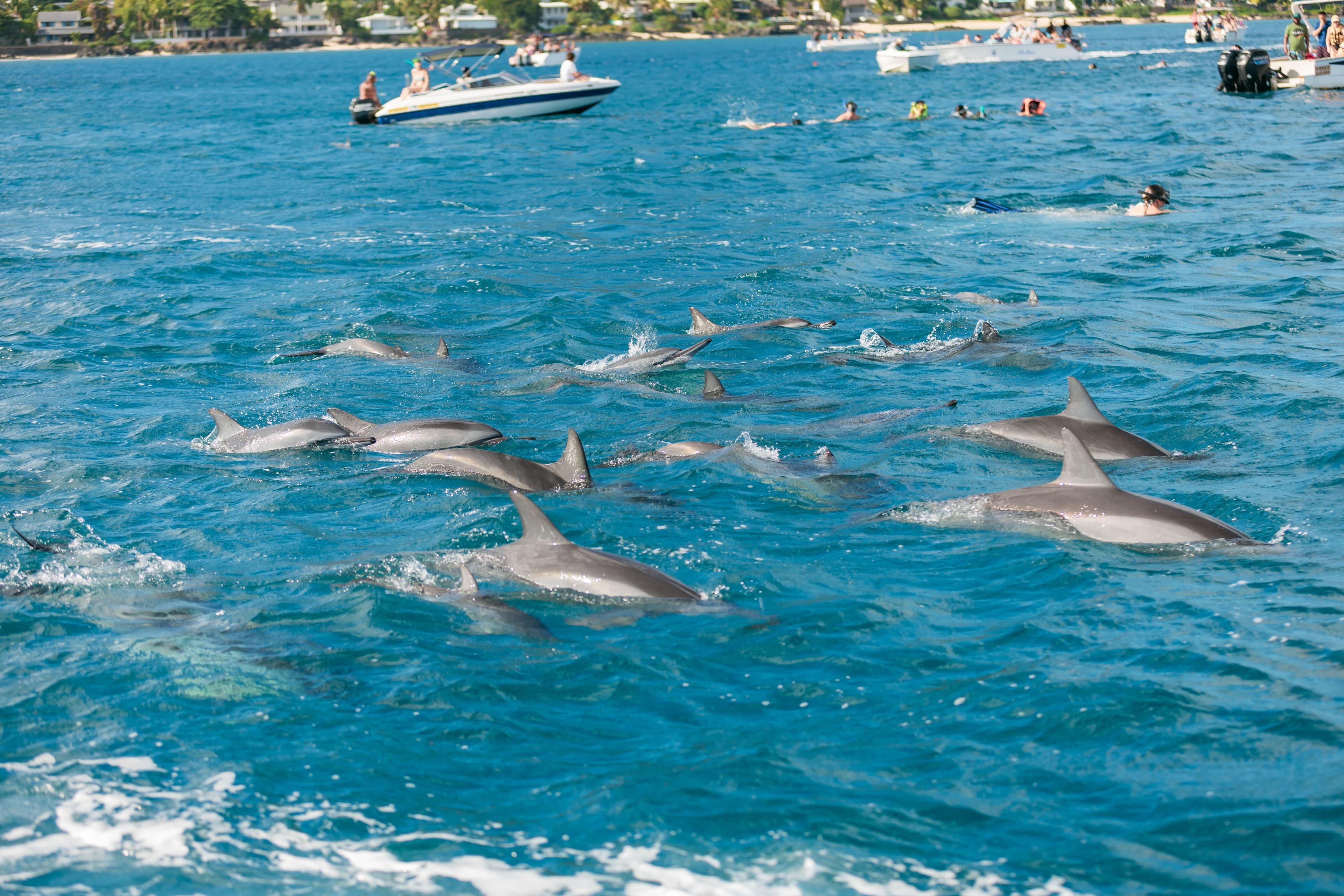 Mauritius view 2